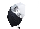 Umbrella All In One 99cm Silver/White